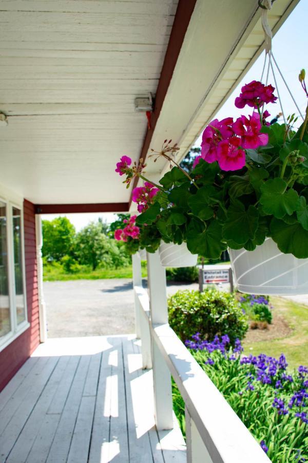 The Whitetail Inn And Suites- Lincoln Bagian luar foto